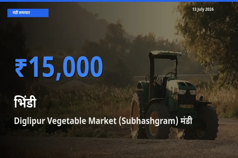 आज भिंडी के सबसे ज़्यादा दाम Diglipur Vegetable Market (Subhashgram) मंडी में दर्ज
