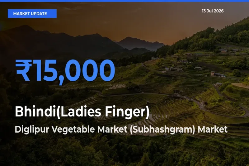 Market Watch: Diglipur Vegetable Market (Subhashgram) Becomes Top Mandi for Bhindi(Ladies Finger)