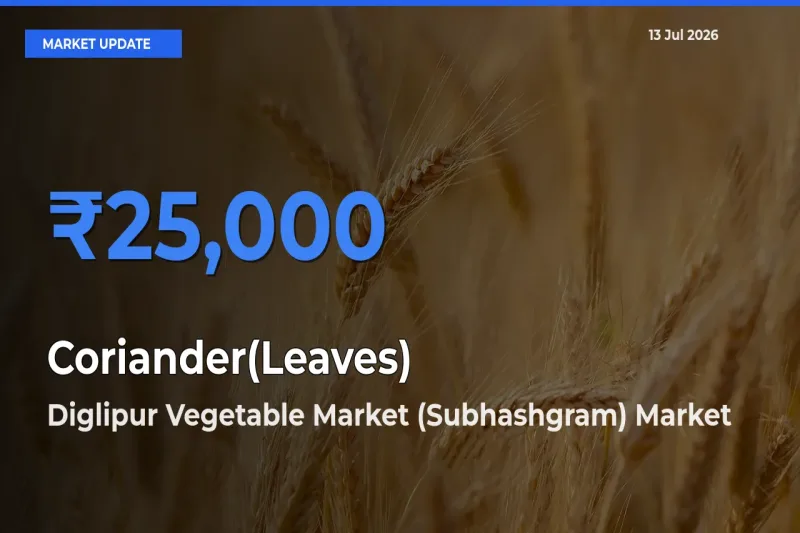 Diglipur Vegetable Market (Subhashgram) Tops Coriander(Leaves) Mandi Rates Today