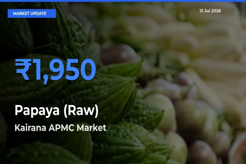 Papaya (Raw) Mandi Rate Today: Kairana APMC Tops the List