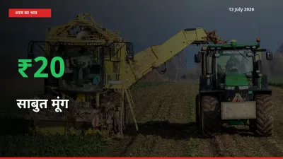 साबुत मूंग 19.72% उछला, मंडी