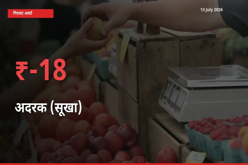स्थानीय मंडी में अदरक (सूखा) के दाम अचानक 17.51% गिरे, किसानों की चिंता बढ़ी