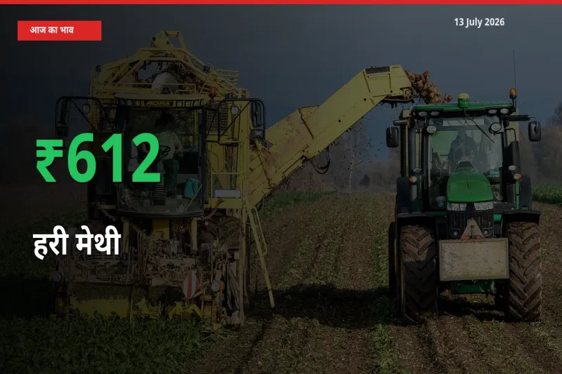 बाज़ार संकेत: हरी मेथी के भाव मंडी में 612.14% ऊपर