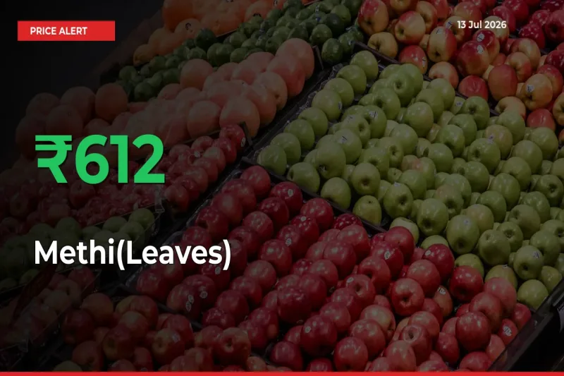 Big Rally! Methi(Leaves) Climbs 612.14% in 24 Hours at Top Mandis