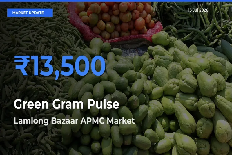 Lamlong Bazaar APMC Tops Green Gram Pulse Mandi Rates Today