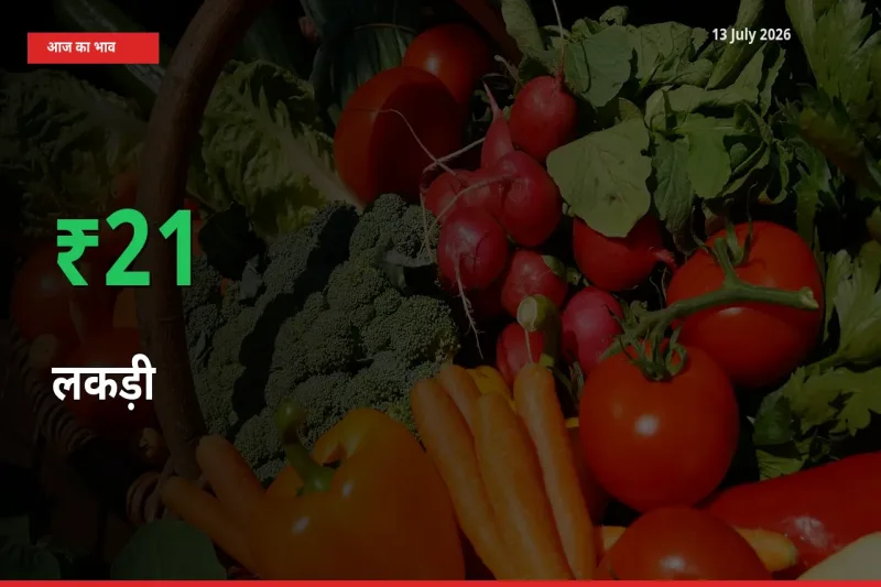 13 July अपडेट: लकड़ी के दाम मंडी में 21.37% उछले