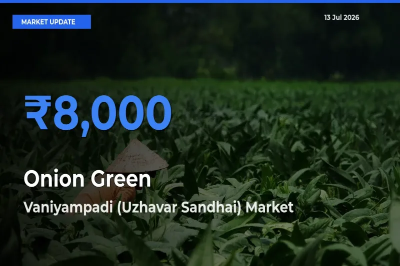 Vaniyampadi (Uzhavar Sandhai) Emerges as Top Mandi for Onion Green Prices Today