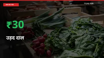 अचानक तेजी! मंडी में उड़द दाल के दाम 30% चढ़े