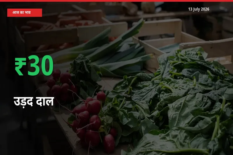 अचानक तेजी! मंडी में उड़द दाल के दाम 30% चढ़े