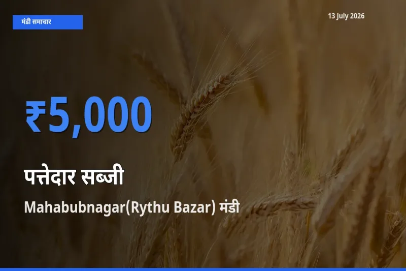 Mahabubnagar(Rythu Bazar) मंडी में आज पत्तेदार सब्जी के सबसे ऊँचे दाम दर्ज