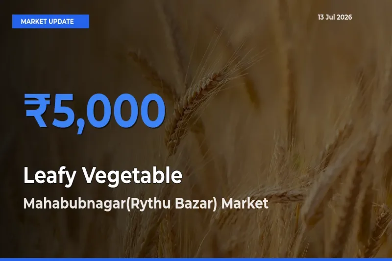 Mahabubnagar(Rythu Bazar) Records Highest ₹5,000 Rate for Leafy Vegetable