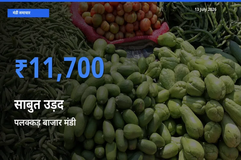 किसानों की पसंद बना पलक्कड़ बाजार, साबुत उड़द के सबसे अच्छे दाम