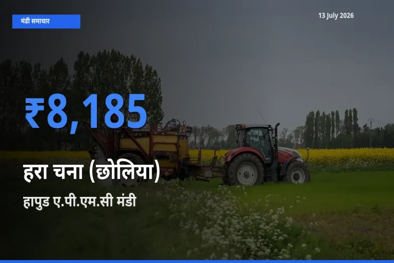 हापुड ए.पी.एम.सी मंडी में आज हरा चना (छोलिया) के सबसे ऊँचे दाम दर्ज