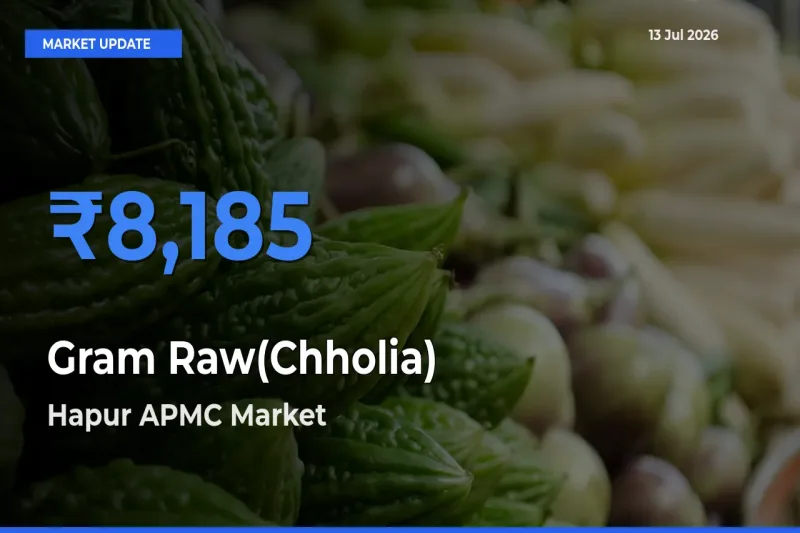Farmers Prefer Hapur APMC as Gram Raw(Chholia) Hits Highest Rate
