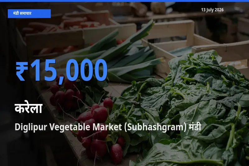Diglipur Vegetable Market (Subhashgram) में करेला का आज सबसे ऊँचा भाव