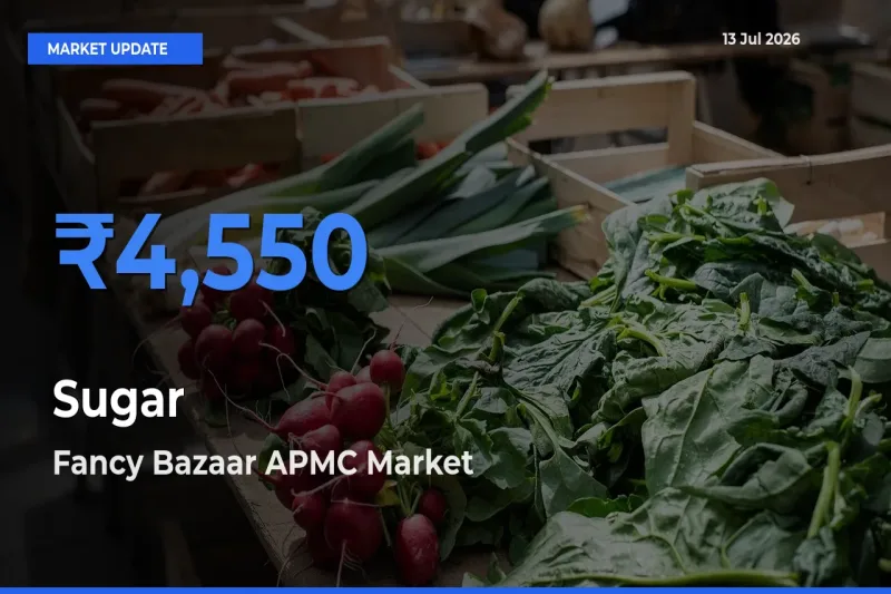 Fancy Bazaar APMC Tops Sugar Rates – July 13 Market Update