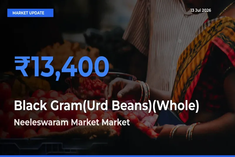 Neeleswaram Market Emerges as Top Mandi for Black Gram(Urd Beans)(Whole) Prices Today