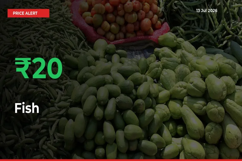 Sudden 19.89% Rally in Fish Prices Across Mandis