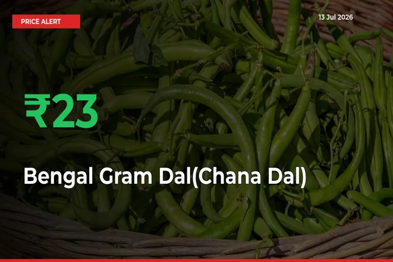 Bengal Gram Dal(Chana Dal) Mandi Rate Today: Prices Jump 22.58% at Market