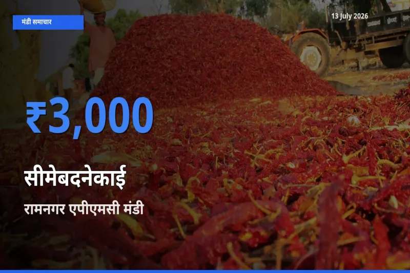 किसानों की पसंद बना रामनगर एपीएमसी, सीमेबदनेकाई के सबसे अच्छे दाम