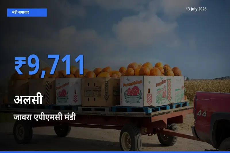 बाज़ार संकेत: जावरा एपीएमसी बना अलसी के लिए आज की टॉप मंडी