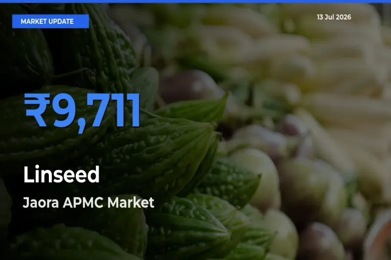 Jaora APMC Records Highest ₹9,711 Rate for Linseed