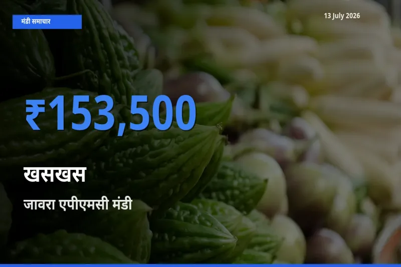 बाज़ार संकेत: जावरा एपीएमसी बना खसखस के लिए आज की टॉप मंडी