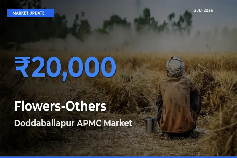 Doddaballapur APMC Emerges as Top Mandi for Flowers-Others Prices Today