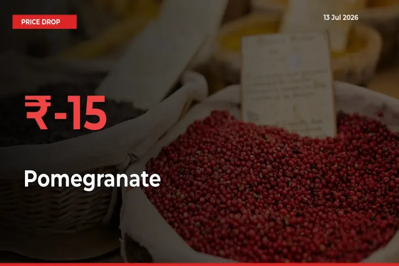Pomegranate Mandi Rate Today: Prices Fall 15.16% at Market
