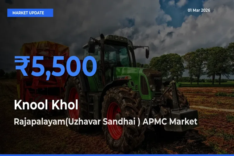Rajapalayam(Uzhavar Sandhai ) APMC Tops Knool Khol Mandi Rates Today