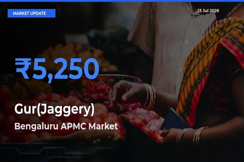 Bengaluru APMC Emerges as Top Mandi for Gur(Jaggery) Prices Today