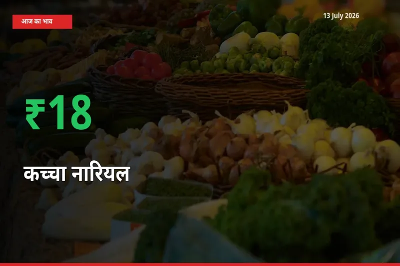 किसानों के लिए खुशखबरी! स्थानीय मंडी में कच्चा नारियल 18.36% उछला