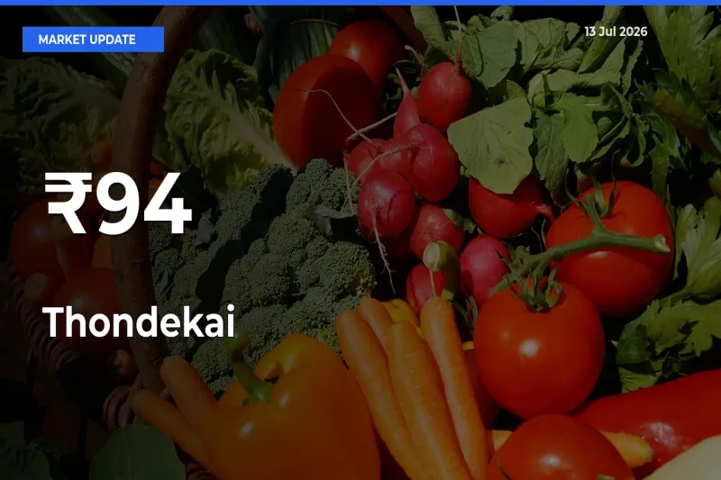 Thondekai Shows Strong Mandi Trend – July 13 Market Update