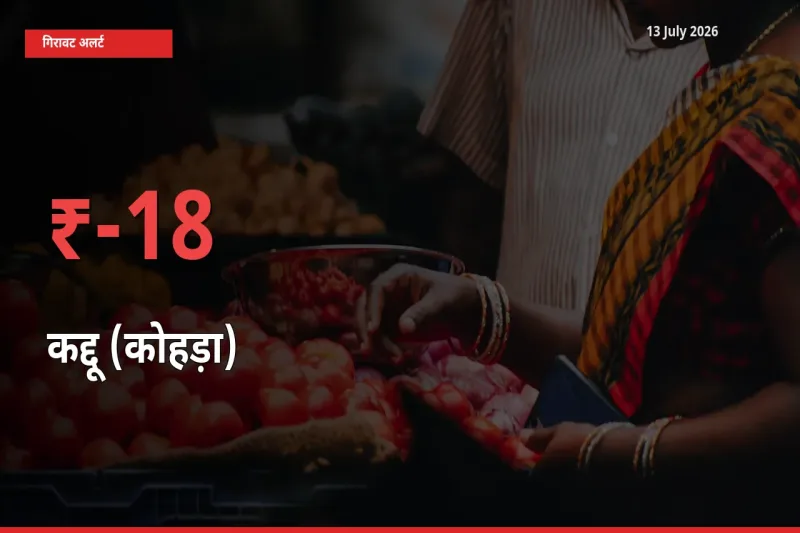अचानक झटका! मंडी में कद्दू (कोहड़ा) के दाम 17.73% टूटे