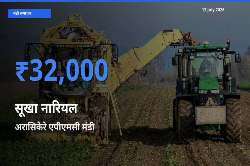 आज सूखा नारियल के सबसे ज़्यादा दाम अरासिकेरे एपीएमसी मंडी में दर्ज
