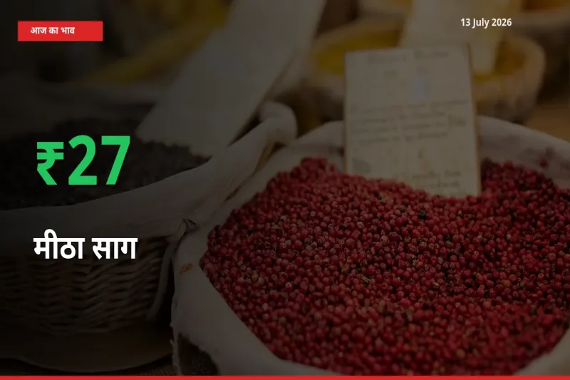 स्थानीय मंडी में मीठा साग के दाम अचानक 27.42% उछले, किसान सतर्क