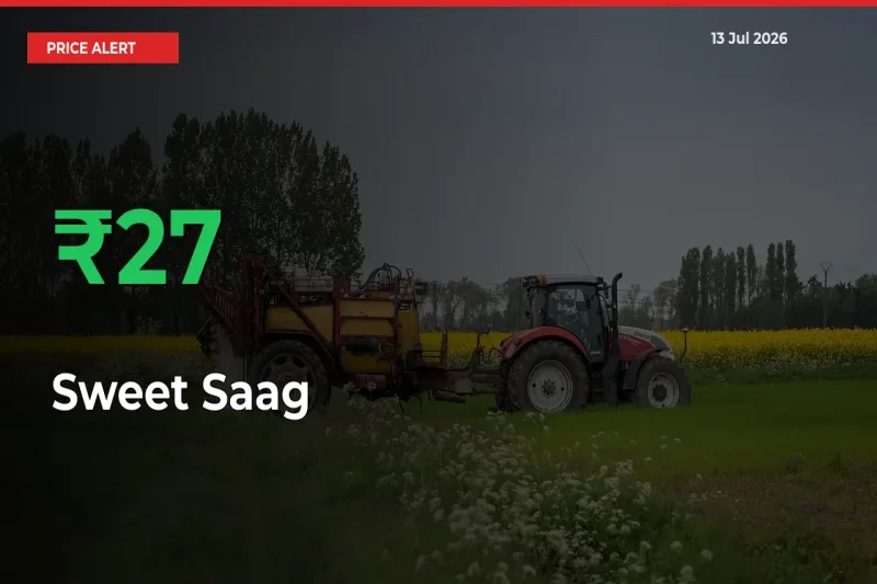 Sharp Jump! Sweet Saag Prices Climb 27.42% in 24 Hours at Key Mandis