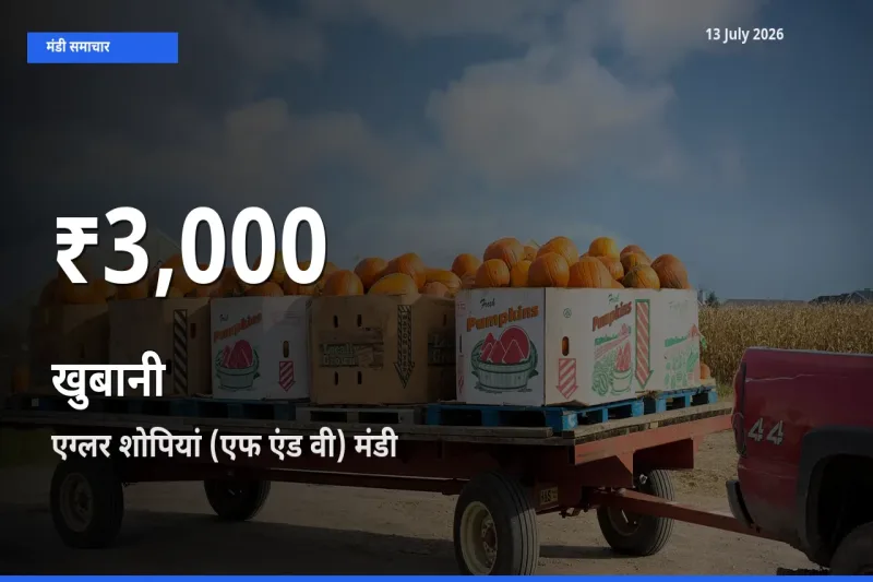 एग्लर शोपियां (एफ एंड वी) में खुबानी के दाम 30 दिन के न्यूनतम स्तर पर, आज का मंडी भाव देखें