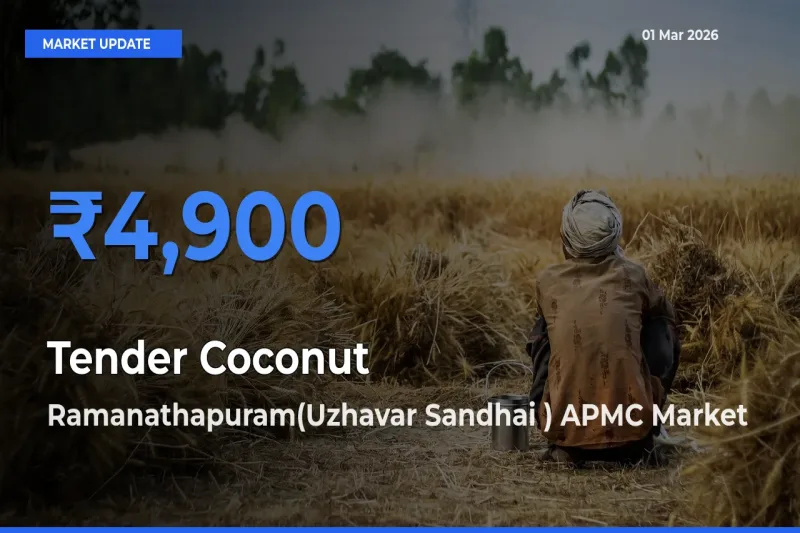 Farmers Prefer Ramanathapuram(Uzhavar Sandhai ) APMC as Tender Coconut Hits Highest Rate