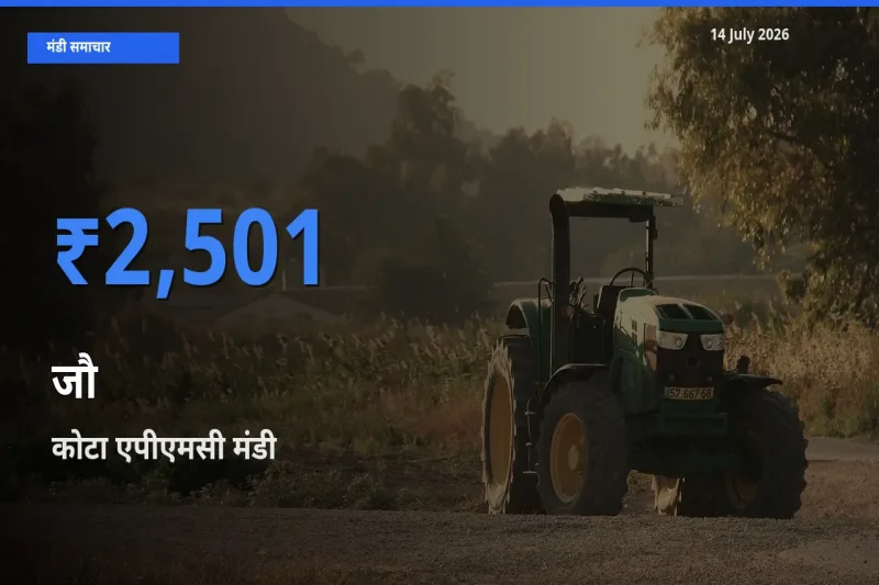 किसानों की पसंद बना कोटा एपीएमसी, जौ के सबसे अच्छे दाम