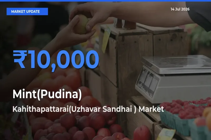 Kahithapattarai(Uzhavar Sandhai ) Tops Mint(Pudina) Mandi Rates Today