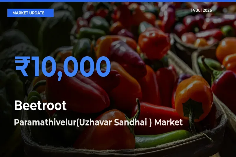 Paramathivelur(Uzhavar Sandhai ) Tops Beetroot Rates – July 14 Market Update