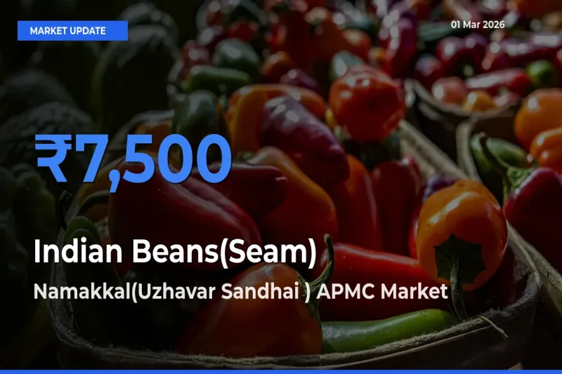 Market Watch: Namakkal(Uzhavar Sandhai ) APMC Becomes Top Mandi for Indian Beans(Seam)