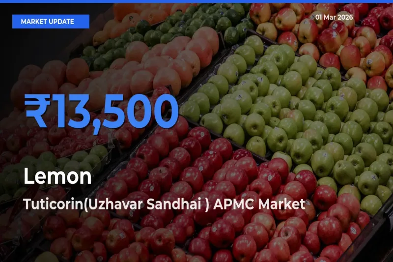 Tuticorin(Uzhavar Sandhai ) APMC Tops Lemon Mandi Rates Today