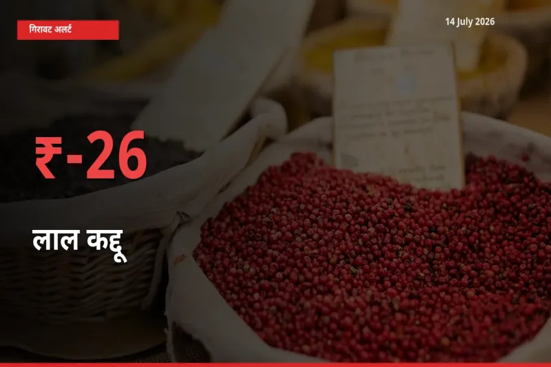 बाज़ार संकेत: लाल कद्दू के भाव मंडी में 25.58% नीचे