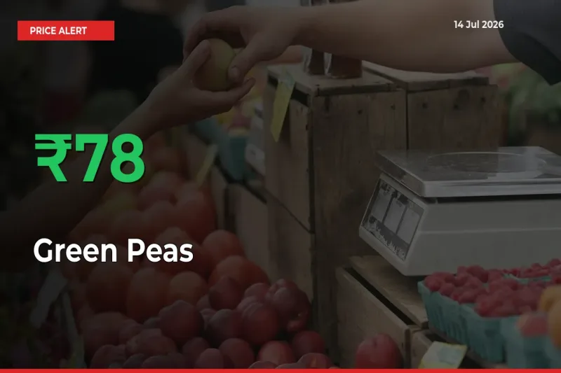 Green Peas Mandi Rate Today: Prices Jump 77.52% at Market