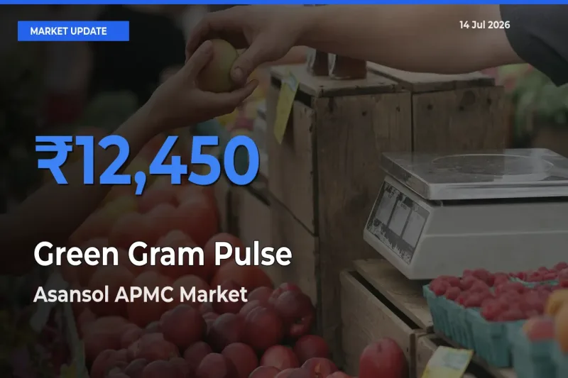 Asansol APMC Records Highest ₹12,450 Rate for Green Gram Pulse