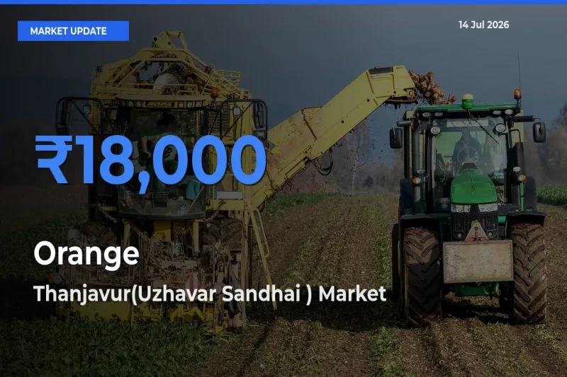 Thanjavur(Uzhavar Sandhai ) Tops Orange Mandi Rates Today