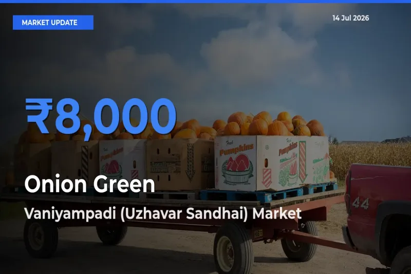 Vaniyampadi (Uzhavar Sandhai) Leads as Top Mandi for Onion Green Prices