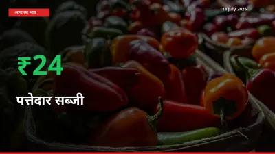 स्थानीय मंडी में पत्तेदार सब्जी के दाम अचानक 24.24% उछले, किसान सतर्क